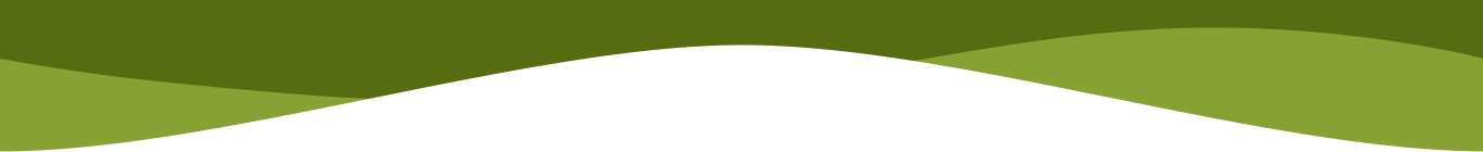 home-green-divider-bottom_part