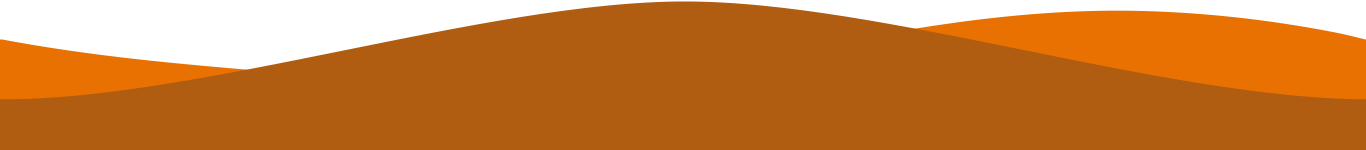 home-orange-divider