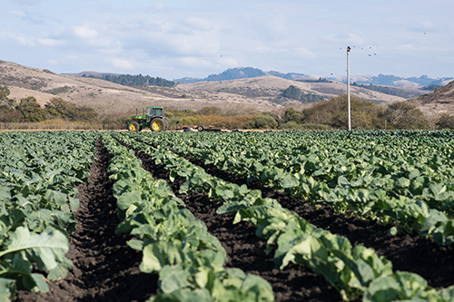 Photo of Tractor in a field